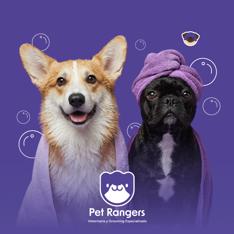 20% de descuento en servicio de baño Ranger