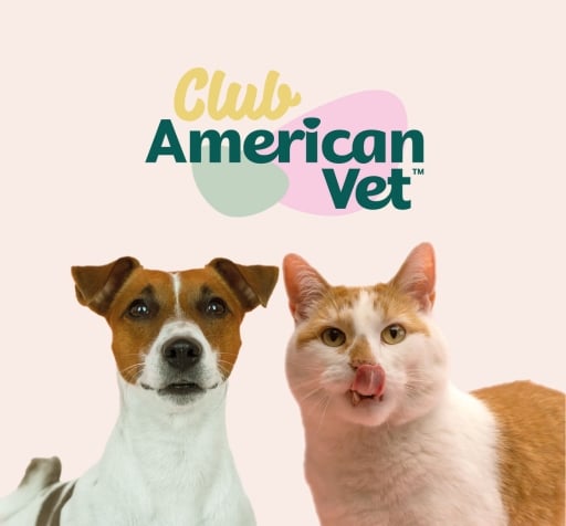 Hasta 50% de descuento en membresía anual en American Vet - American Vet