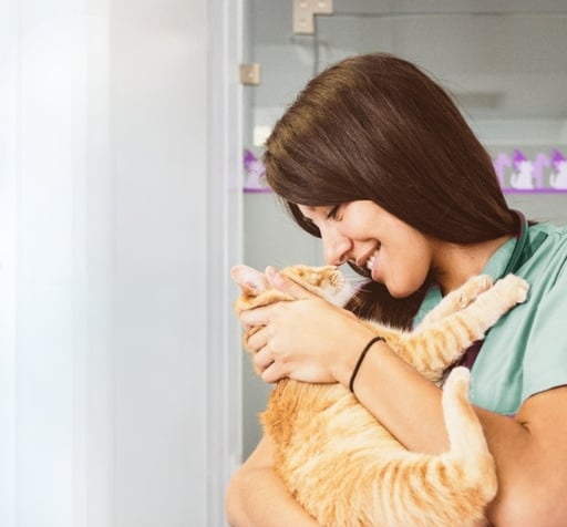 Hasta 50% de descuento en consulta médica en America Vet - American Vet