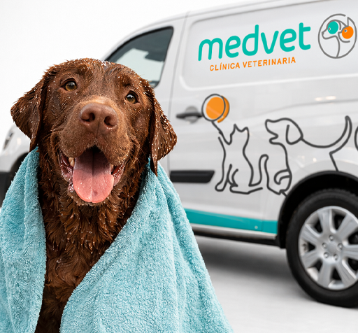 Hasta 20% de descuento en Medvet - Medvet