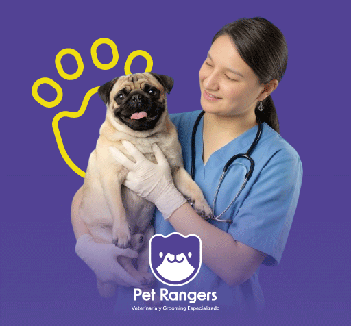 Hasta 50% de descuento en Pet Rangers - Pet Rangers