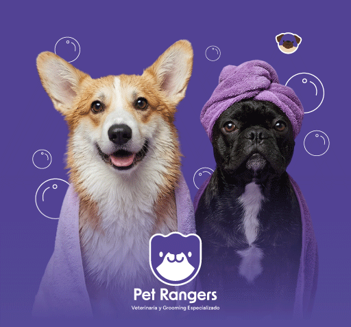 Hasta 20% de descuento en Pet Rangers - Pet Rangers