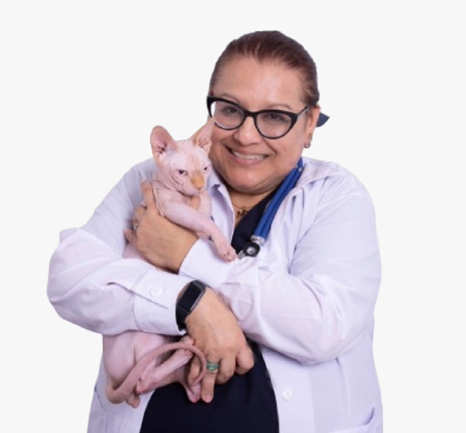 Hasta 30% de descuento en Pet time - Pet time
